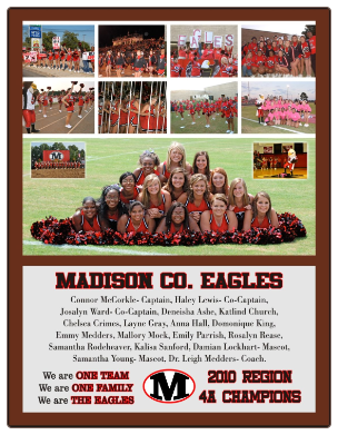 Cheer Team 15 Cheer Team 15